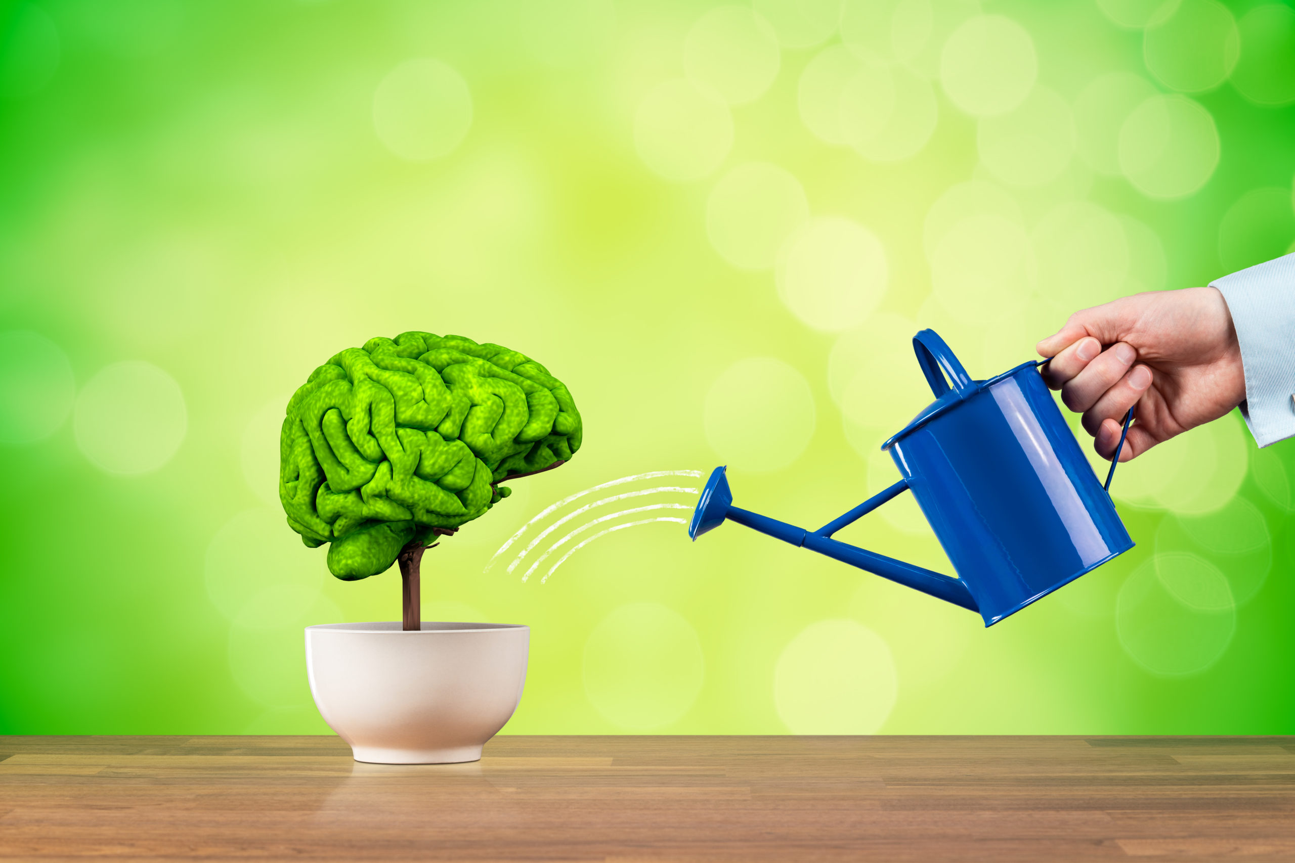 Featured image for “Brain Power: Hydration and Cognition”