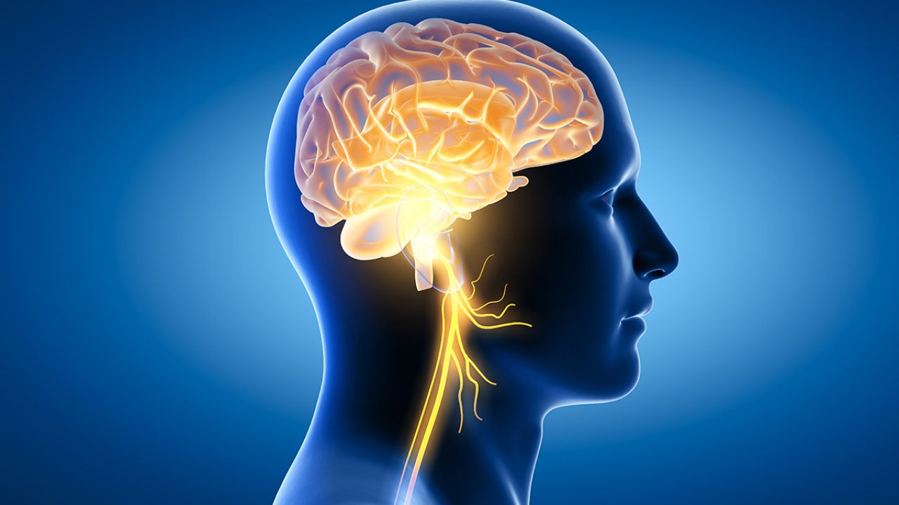 Featured image for “Vasculitis of the Brain: Key Symptoms, Accurate Diagnosis & Effective Treatment”