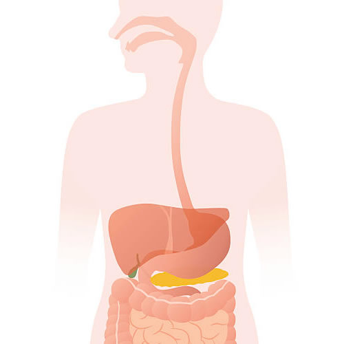 Featured image for “Is EoE an Autoimmune Disease? Exploring the Facts”