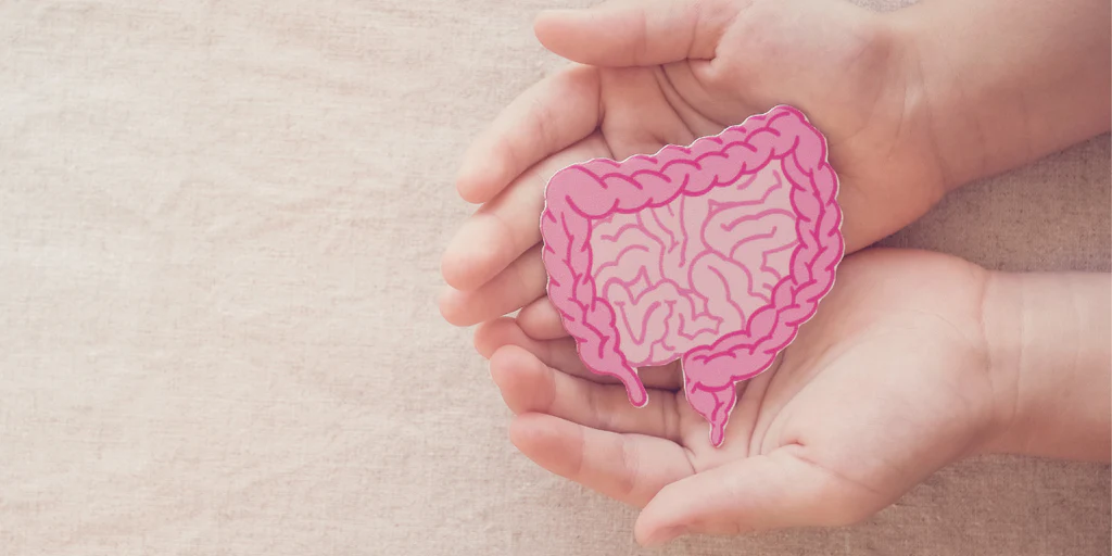 Featured image for “Autoimmune Disease and Gut Health: Key Connections”